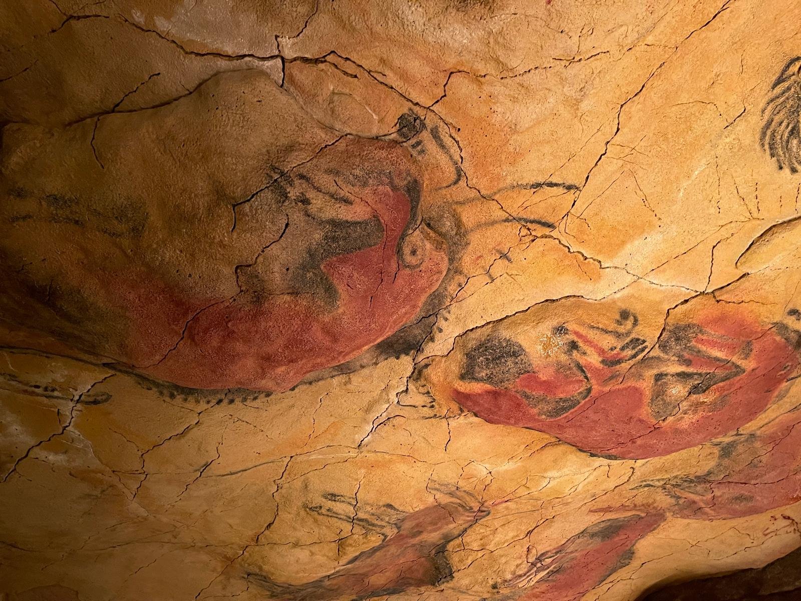 Museo de la Cueva de Altamira. Neocueva